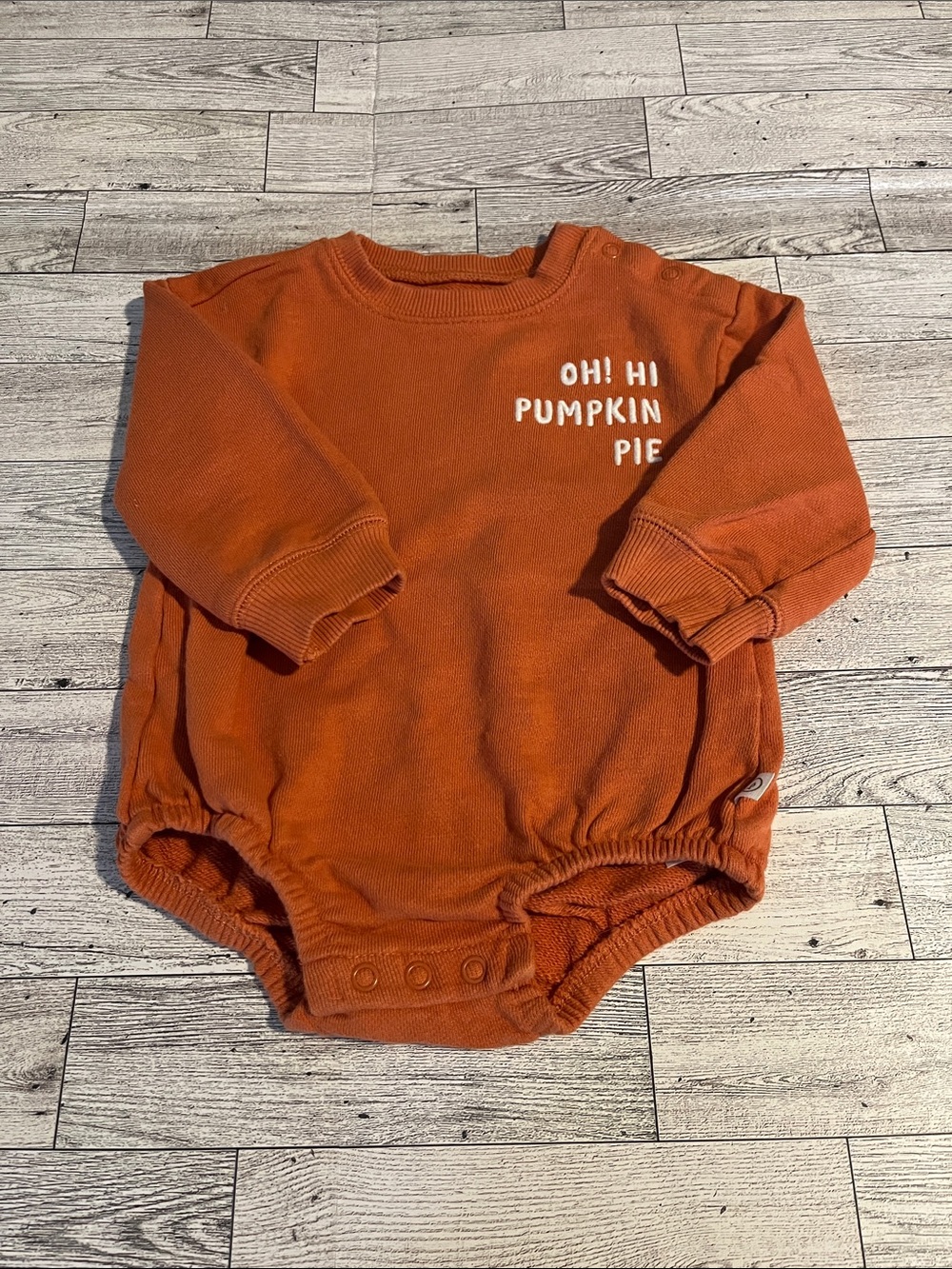 Little Planet “Oh! Hi Pumpkin Pie” 100% Organic Cotton Long Sleeve Bubble Romper